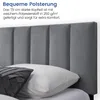 Polsterbett 140x200 und 160x200 cm Doppelbett mit Produktbild-Vorschau 4