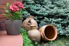 A potted hydrangea plant sits on a brick ledge next to several terracotta pots in a garden setting. Produktbild-Vorschau