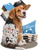 HUND IST KÖNIG Windeln für Hündinnen [3 Stk], S (Taille Produktbild-Vorschau 1