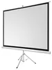 celexon basic Stativ-Leinwand 120" | 220x220 cm 1:1 | Produktbild-Vorschau 6
