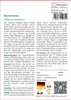 SAFLAX - Heilpflanzen - Mariendistel - 75 Samen - Silybum Produktbild-Vorschau 3