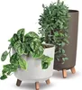 Prosperplast s.r.o. GRACIA TUBUS SLIM ECO WOOD 23,9 cm, Voir les images du produit 3