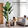 IvoQ Strelitzia umelá rastlina 210 cm - veľká strelícia - Náhľad obrázku produktu 5