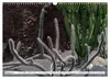 Faszination Kakteen (Wandkalender 2027 DIN A3 quer), Produktbild-Vorschau 11