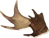Larsson Geweih Elk-Schäufle II Produktbild-Vorschau 2