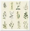 Scrapbooking-Papier Set 30×30 cm – SLS-035 Herbarium – ITD Produktbild-Vorschau 8