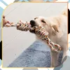 EDIBAZZAR | Anello di dentizione in corda per cani, grande, Anteprima dell’immagine prodotto 6
