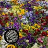 Dein Problem - nicht meins Blumensprache Magnet rund Produktbild-Vorschau 3