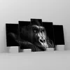 Bilder auf glas - 5 Teile - Affe Gorilla Porträt - 160x85cm Produktbild-Vorschau 4