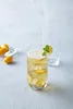 Leonardo Longdrinkgläser Daily 330 ml - 6 Stücke Produktbild-Vorschau 11