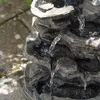 esotec Solar Wasserfall-Dekobrunnen Rock Fountain Produktbild-Vorschau 10