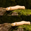 Miswak Siwak Zahnpflegestift  AL KHAIR Produktbild-Vorschau 3