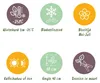 Green boutiQ - Stauden - Geranium Johnson's Blue - Produktbild-Vorschau 11