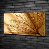 Tulup® Glas-Bild - 100x50 -Wandkunst - Wandbild hinter Produktbild-Vorschau 2