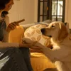 Pedigree DentaStix 112 sztuk (16x180g) Medium Średnie Rasy Podgląd zdjęcia produktu 12