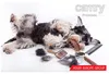 Tondeuse à poils pour animaux Camry CR 2821 Voir les images du produit 14
