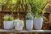 Four planters with plants on a wooden surface, with trees and stacked wood in the background. Produktbild-Vorschau