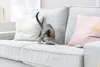 TRIXIE 45380, Katze, Plüschspielzeug, Mehrfarbig, Produktbild-Vorschau 6