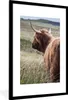 MuchoWow® Gerahmtes Poster Schottische Highlander - Natur - Produktbild-Vorschau 1