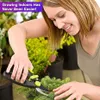 A woman is pruning a small evergreen plant with pruning shears. Produktbild-Vorschau