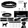 LED Hundehalsband USB aufladbar reflektierend Produktbild-Vorschau 2