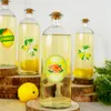 Vilde Glasflasche Trinkflasche Flasche für Limonade mit Produktbild-Vorschau 2