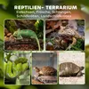 PawHut Terrarium für Reptilien Glasterrarium 48L mit Produktbild-Vorschau 4