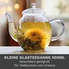 Creano Teekanne aus Glas mit Deckel für 500ml Tee für Produktbild-Vorschau 2