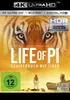 Life of Pi - Schiffbruch mit Tiger (UHD) Produktbild-Vorschau 9