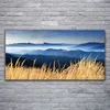Acrylglasbilder 120x60 Wandbild Druck Acker Landschaft Produktbild-Vorschau 2
