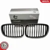 ESEN SKV 66SKV177 Kühlergrill Frontgrill für BMW 5 GT (F07) Produktbild-Vorschau 1