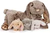 Maman lapin avec bébés Doudou Noxxiez Lapin en peluche Voir les images du produit 1