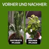 LERAVA® Kupferoxychlorid [Biologisch] - 800g - Verbessert Produktbild-Vorschau 3