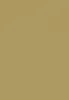 Clairefontaine Pollen Papier A4 120g 50 Blatt gold Produktbild-Vorschau 4