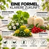 Gedächtnis Fokus Spray | Lions Mane, Bacopa, Ginkgo Biloba, Produktbild-Vorschau 3