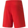 Puma Teamrise Shorts Kinder - Rot Produktbild-Vorschau 2