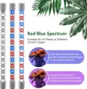 A marketing image showing plant grow lights and explaining their benefits. Produktbild-Vorschau
