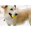 Waboba Woof Pack Hundespielzeug Set Wurfscheibe Sprungball Produktbild-Vorschau 12