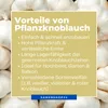 Kiepenkerl Winterpflanzknoblauch Messidrome - weiß Allium Produktbild-Vorschau 7