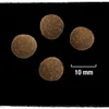 Crave Hund Beutel Adult mit Lamm und Rind, Adult, Rind, Produktbild-Vorschau 6