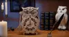 A wooden owl clock is displayed on a wooden desk with candles, books, and a quill pen. Produktbild-Vorschau