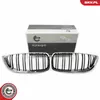 ESEN SKV 66SKV152 Griglia anteriore per BMW 4 Gran Coupé Anteprima dell’immagine prodotto 7