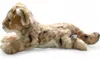 Carl Dick, cucciolo di leone di circa 32 cm 1934, peluche, Anteprima dell’immagine prodotto 11