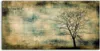 Coloray - Glasbild - 100x50 cm - Wandbild - Glasbilder - Produktbild-Vorschau 1