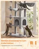 Arbre à gratter Feandrea, grand, avec des surfaces à Voir les images du produit 5