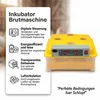 Incubateur Couveuse automatique Couveuse de surface Voir les images du produit 11