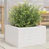 Pflanzkübel Weiß 40x40x23 cm Massivholz Kiefer Produktbild-Vorschau 2