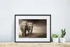 MuchoWow® MuchoWow® Gerahmtes Poster Elefant - Berg - Nebel Produktbild-Vorschau 6