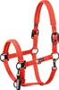 Eskadron Halfter SPARKLE DOUBLE PIN poppy red rot DYNAMIC Produktbild-Vorschau 1