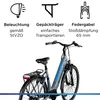 Zündapp X600 E Bike Damenfahrrad 155 - 180 cm Stadtrad Produktbild-Vorschau 4